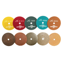 Alpha Ceramica EX Wet Polishing Pads