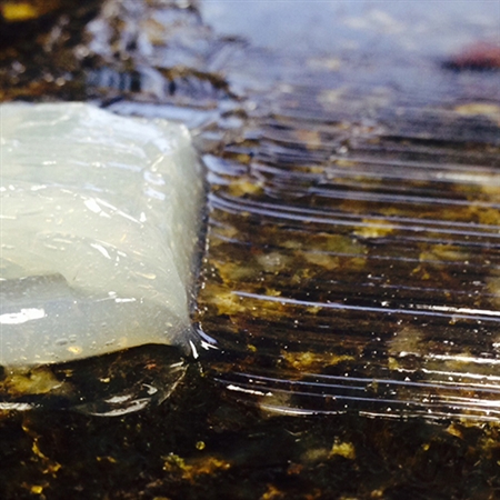 Tenax StrongEdge 45 Knife Grade Epoxy - Image 3