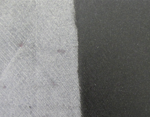 Tenax Ager Tiger - Image 3