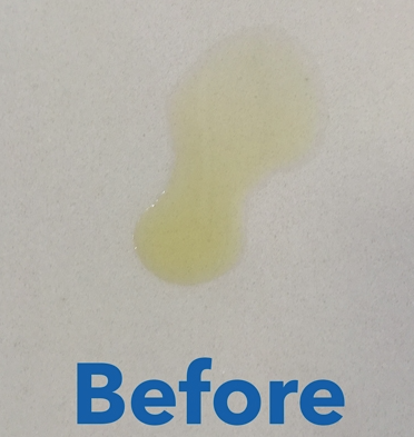 Tenax Quartz Shield Sealer - Image 3